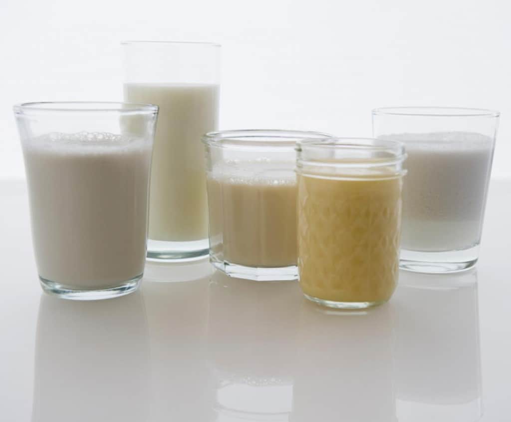 Diferentes tipos de leche