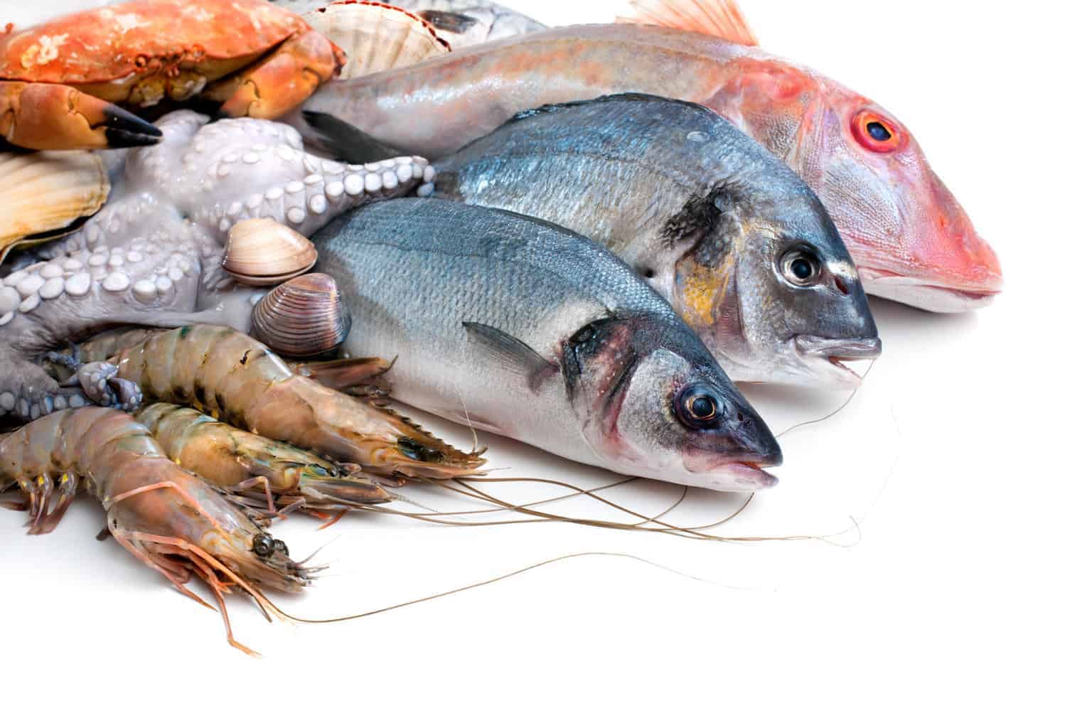 Pescados y mariscos: Cómo seleccionarlos y servirlos de manera segura